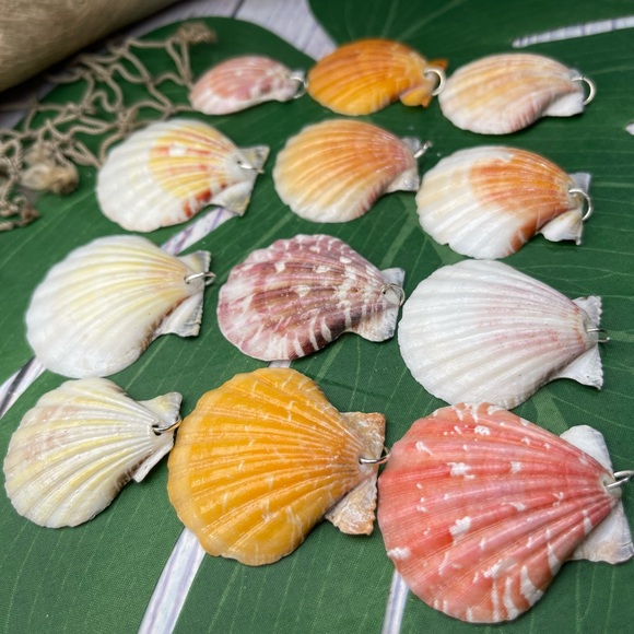 REAL Seashells Scallop Shells Pendants /Charms Lot with silver tone jump rings - Picture 7 of 16